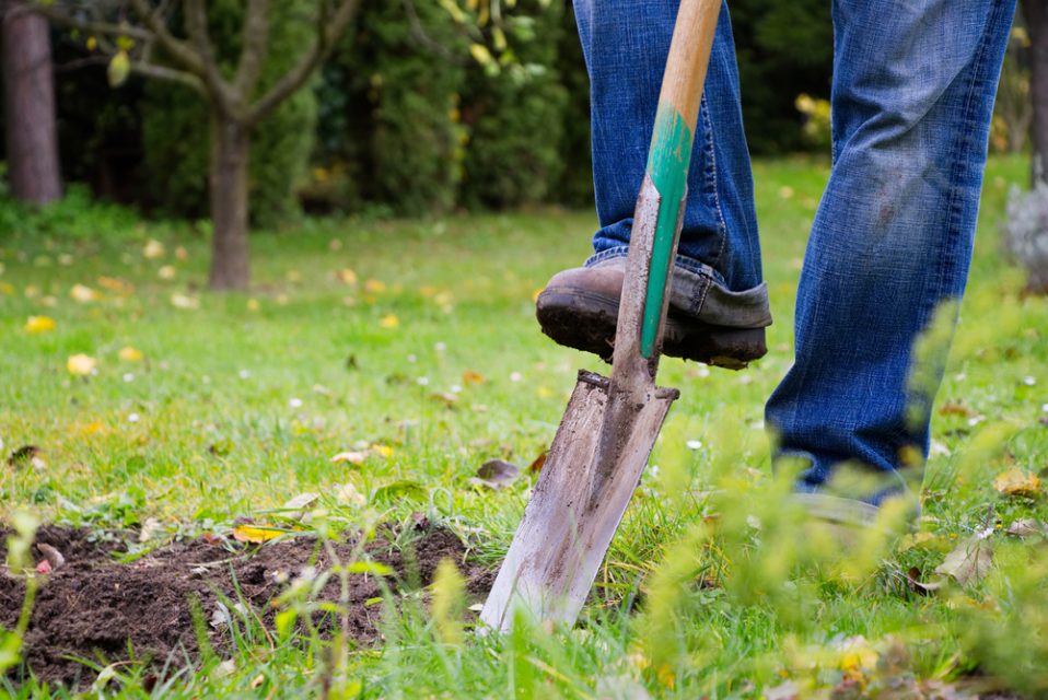 Before you shove in a shovel, call 811 to avoid trouble